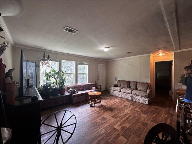 15080 NE 242ND AVENUE, Salt Springs, FL 32134