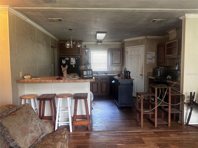 15080 NE 242ND AVENUE, Salt Springs, FL 32134