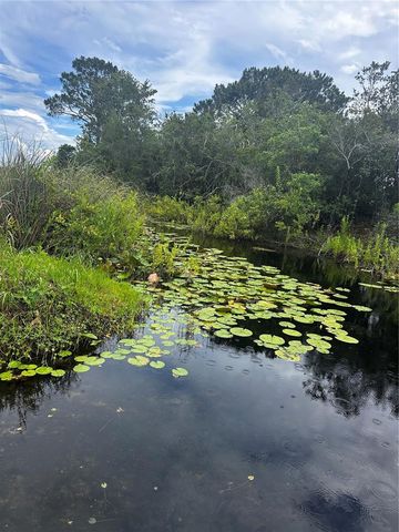 15080 NE 242ND AVENUE, Salt Springs, FL 32134