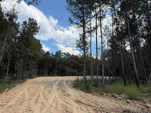 Lot 5 Honey Grove, Livingston, LA 70754