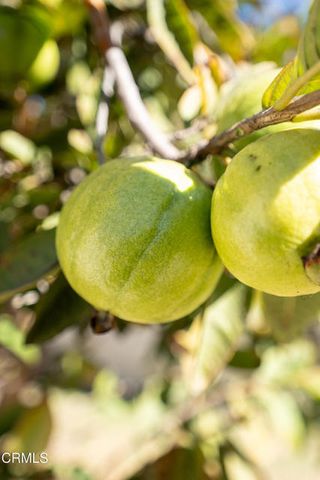 1511 Fathom Drive, Oxnard, CA 93035