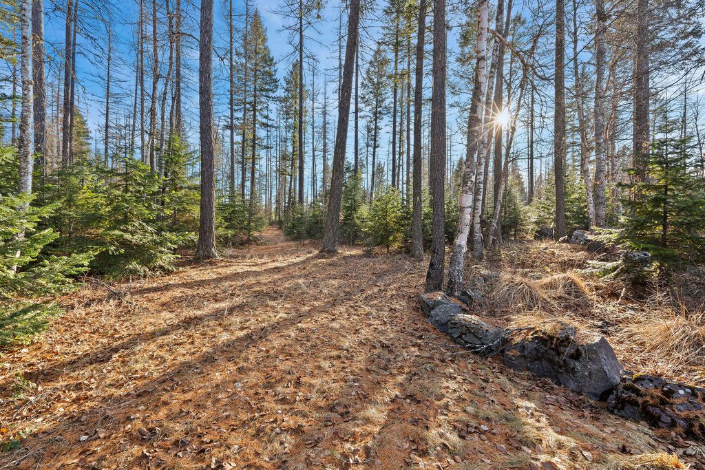 181 Mossy Creek Road, Bigfork, MT 59911 photo 69