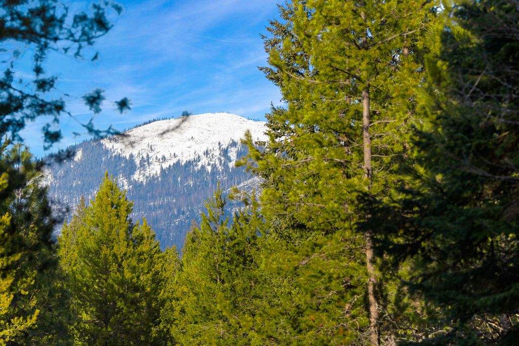 181 Mossy Creek Road, Bigfork, MT 59911 photo 79