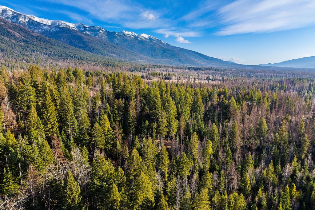 181 Mossy Creek Road, Bigfork, MT 59911 photo 82