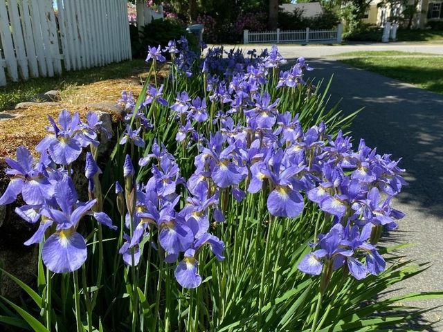 52 Salem St, Andover, MA 01810