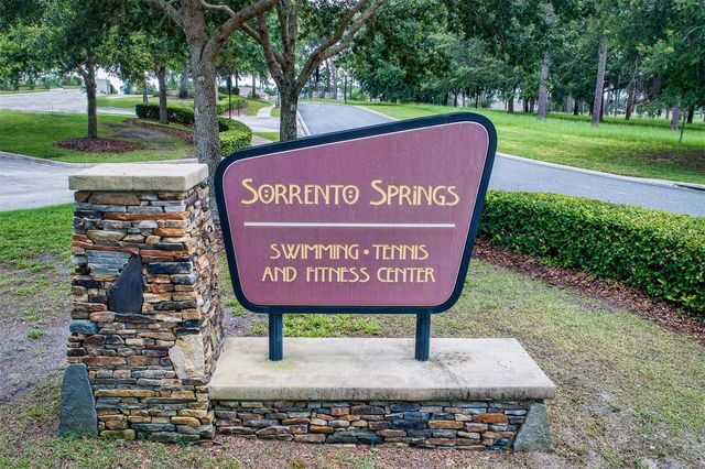 34046 ALAMEDA DRIVE, Sorrento, FL 32776