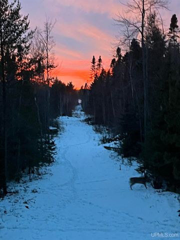 51755 Rice Lake Road, Lake Linden, MI 49945