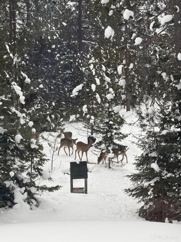 51755 Rice Lake Road, Lake Linden, MI 49945