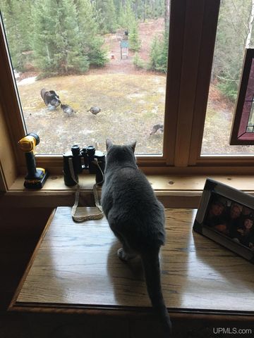 51755 Rice Lake Road, Lake Linden, MI 49945