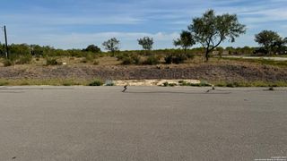 295 lobo, Hondo, TX 78861
