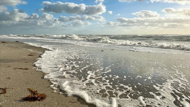 1725 OVERBROOK ROAD, Englewood, FL 34223