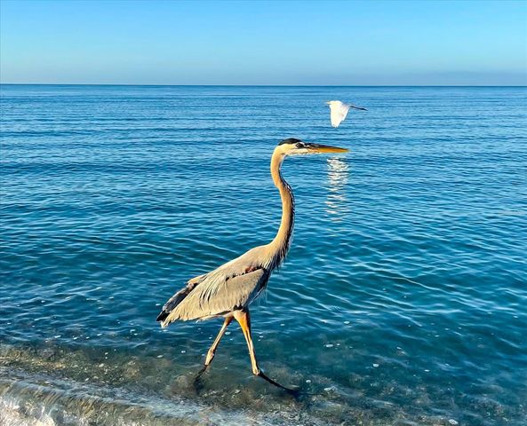 1725 OVERBROOK ROAD, Englewood, FL 34223