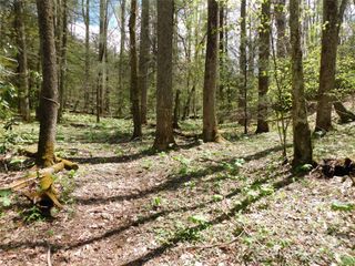 TBD Black Bear Trail, Linville, NC 28646