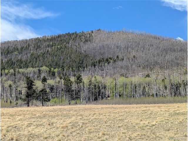 2084 Forbes Park Rd, Fort Garland, CO 81133