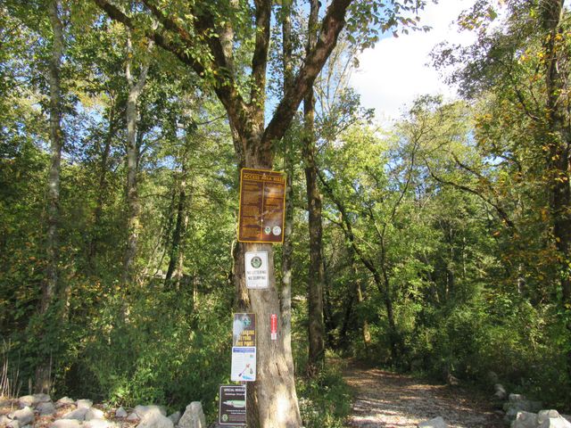 1992 Locke Bend Rd, Mcminnville, TN 37110