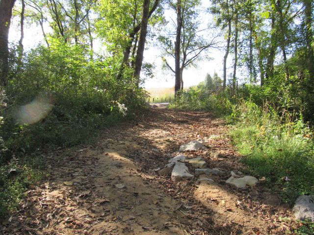 1992 Locke Bend Rd, Mcminnville, TN 37110