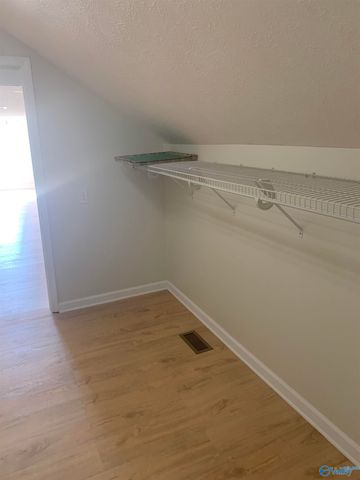 870 Holman Street, Leesburg, AL 35983