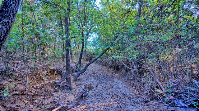 TBD 4 Wire Road, Bellevue, TX 76228