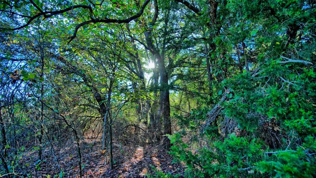 TBD 4 Wire Road, Bellevue, TX 76228