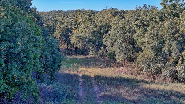 TBD 4 Wire Road, Bellevue, TX 76228