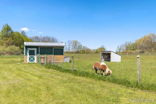 11117 W Snows Lake Road, Greenville, MI 48838