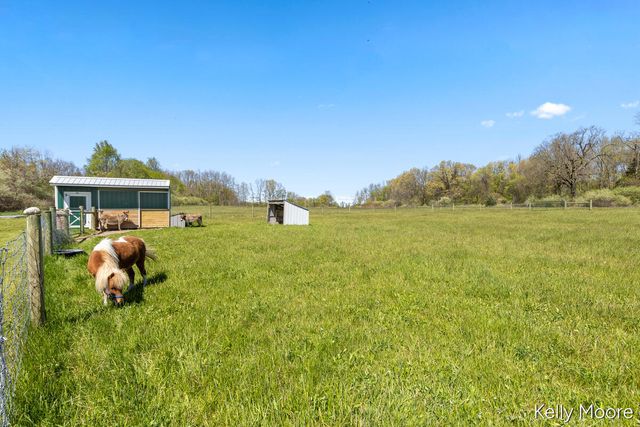 11117 W Snows Lake Road, Greenville, MI 48838