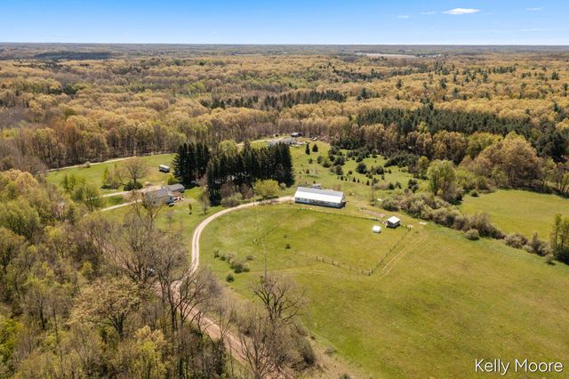 11117 W Snows Lake Road, Greenville, MI 48838