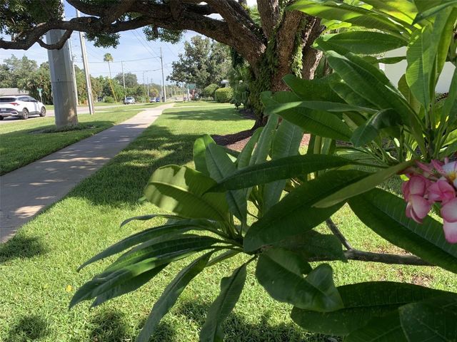1655 S HIGHLAND AVENUE I379, Clearwater, FL 33756