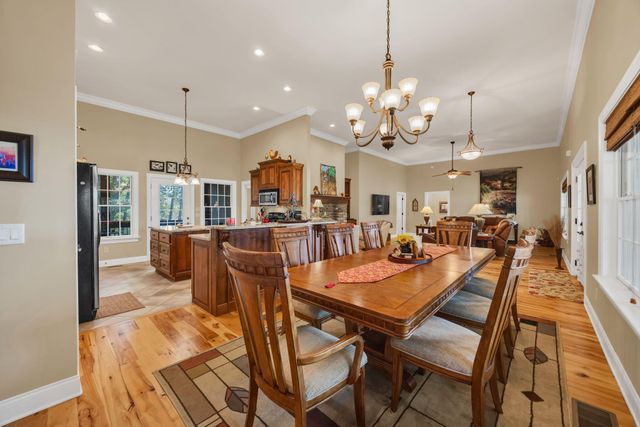 717 Rushing Water Trail, Rising Fawn, GA 30738