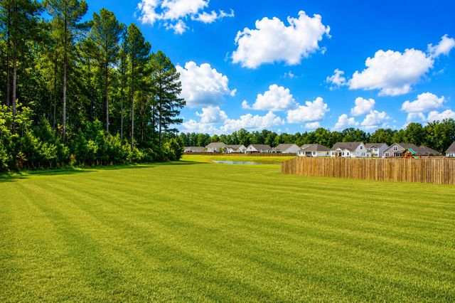 516 Misty Bluff Circle, Huger, SC 29450