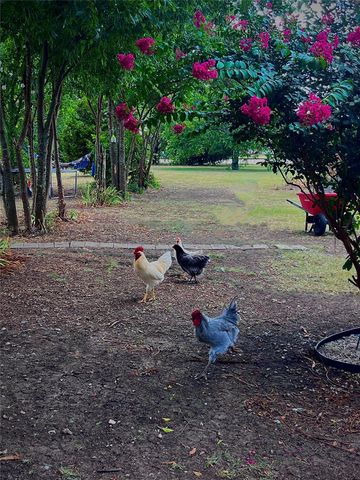 6482 County Road 321, Valley View, TX 76272