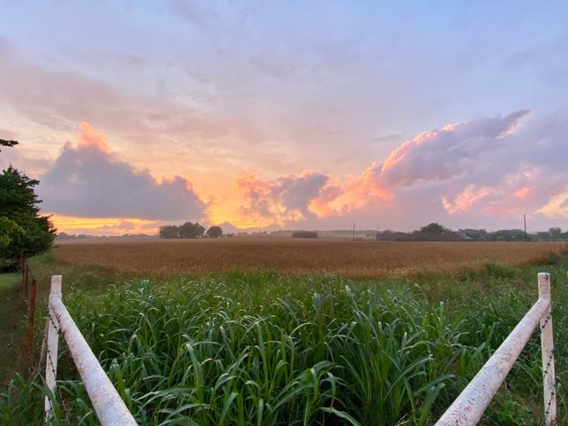 6482 County Road 321, Valley View, TX 76272