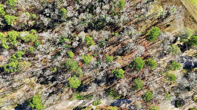 Lots 81, 82, & 83 Lake Oaks Circle, Coldspring, TX 77331