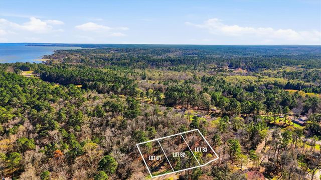 Lots 81, 82, & 83 Lake Oaks Circle, Coldspring, TX 77331