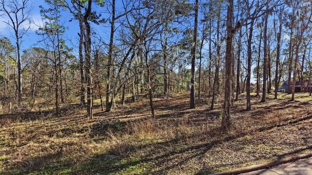 Lots 81, 82, & 83 Lake Oaks Circle, Coldspring, TX 77331