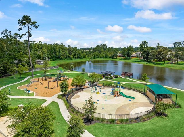 8320 Bristlecone Pine Way, Magnolia, TX 77354