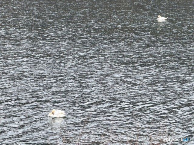 7 Pratt Lane, Wolcott, CT 06716