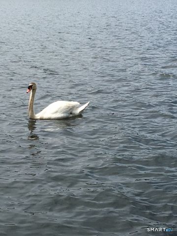 7 Pratt Lane, Wolcott, CT 06716