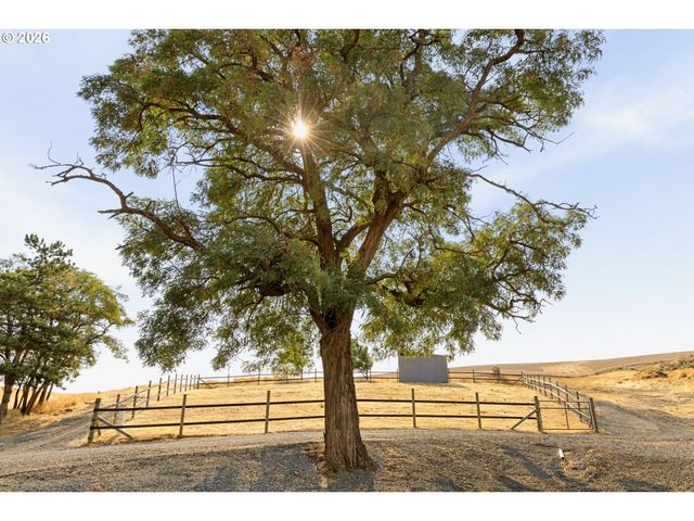 73000 GORDON RIDGE Rd, Wasco, OR 97065