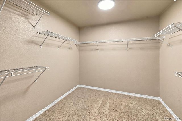 6798 Sandyford Lane, Colorado Springs, CO 80923
