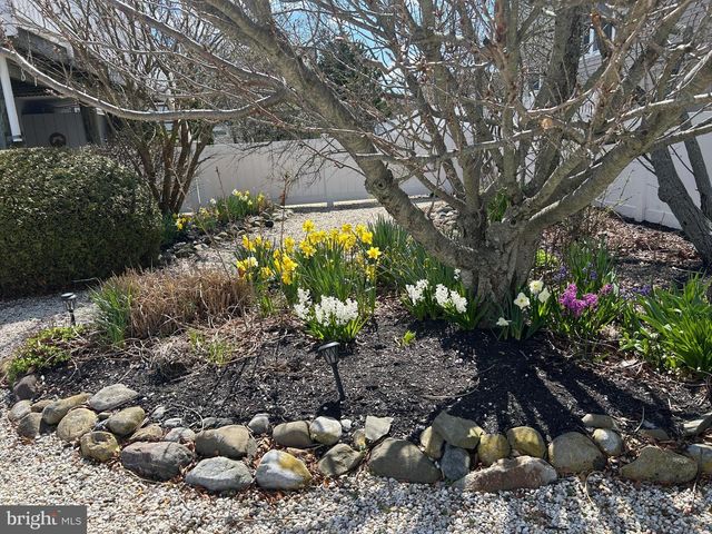 328 W 6TH ST, Ship Bottom, NJ 08008