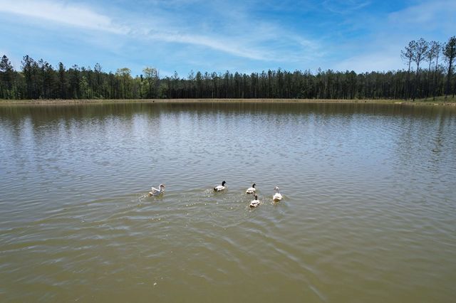1699 NE Boyles Mill Road, Dalton, GA 30721