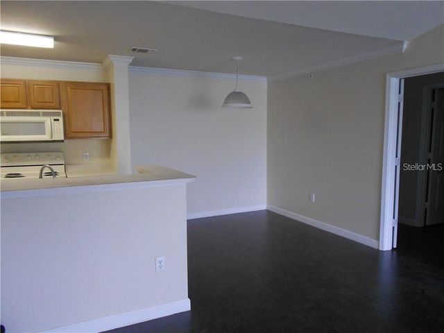 18119 BACK STRETCH LANE 18119, Tampa, FL 33647
