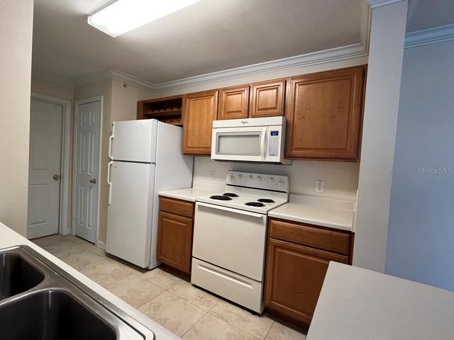 18119 BACK STRETCH LANE 18119, Tampa, FL 33647