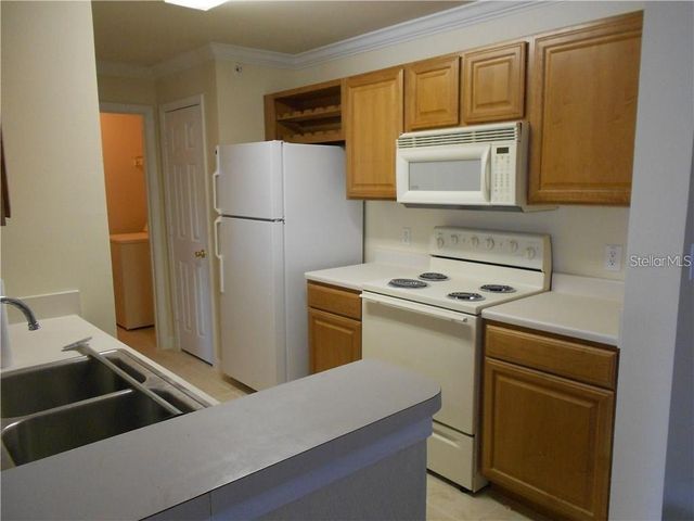 18119 BACK STRETCH LANE 18119, Tampa, FL 33647
