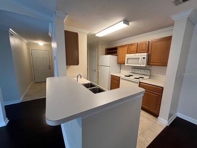 18119 BACK STRETCH LANE 18119, Tampa, FL 33647