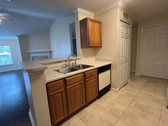 18119 BACK STRETCH LANE 18119, Tampa, FL 33647