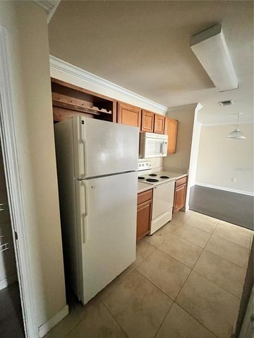 18119 BACK STRETCH LANE 18119, Tampa, FL 33647