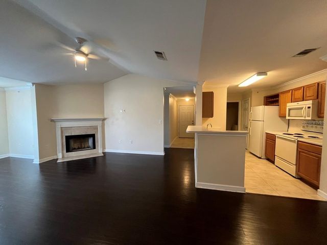 18119 BACK STRETCH LANE 18119, Tampa, FL 33647