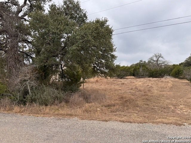 121 N Lon Price, Blanco, TX 78606